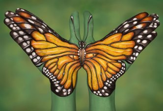 Monarch Buttefly - Ph. Guido Daniele